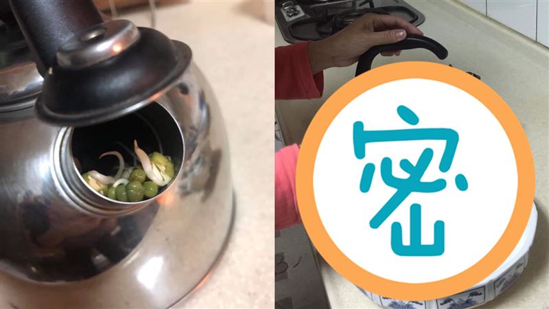 他用「茶壺」種豆芽菜　成果竟超驚人