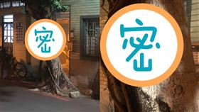 巷子,樹,路燈,影子,樹幹,人臉,男,鬼,驚悚