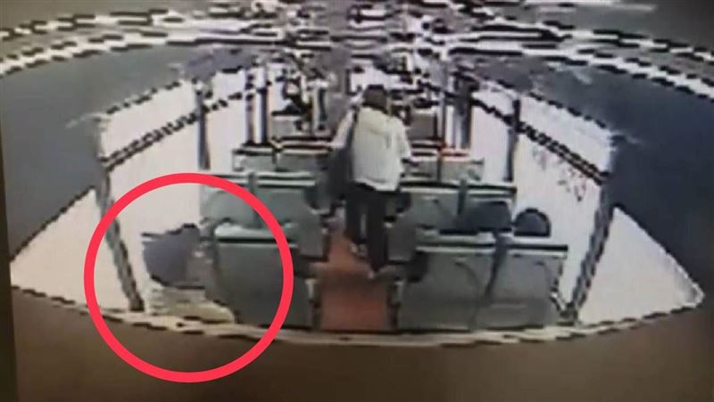 公車露鳥俠竟是8旬翁　他辯：忍不住