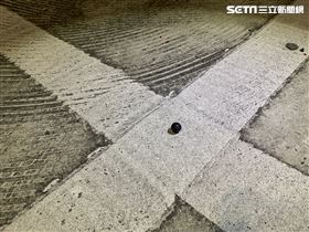 賓士,三重,鎮暴槍,塑膠彈,懷孕,ｄｎａ