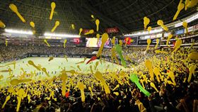 軟銀鷹福岡巨蛋。（圖／軟銀鷹提供）