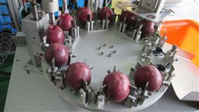 全世界第一台！百香果漿「取汁神機」效率高達98%以上(農委會農業試驗所提供)