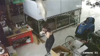 150公分象魚突跳缸…翻肚內出血亡