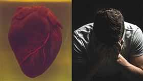 心臟（Pixabay、unsplash）