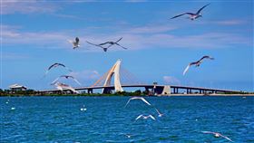 ▲（圖／大鵬灣國家風景區管理處提供）