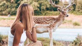 ▲許多女孩親近野生動物只為了IG。（圖／翻攝自推特）