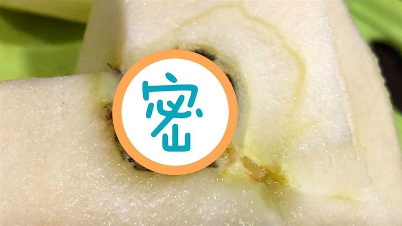 切蘋果見1景象！全場驚喊別吃：有毒