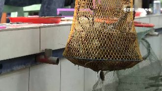 他3小時釣138隻蝦！成拒絕往來戶