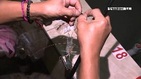 (獨)釣蝦王傳說1800