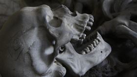 人骨,頭顱,骨頭,骨骸,死亡（圖／示意圖／翻攝pixabay）