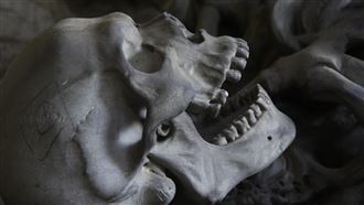 牠叼人骨回家…女飼主嚇壞！死者身分成謎