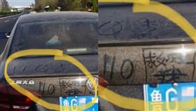 圖／翻攝自星視頻