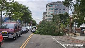 苗栗頭份市地標公園路樹倒塌／翻攝畫面