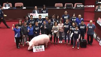 國民黨喊倒閣　綠委怒轟做議題炒新聞