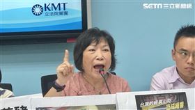 國民黨立院黨團、葉毓蘭、洪孟楷、李德維（圖／記者林恩如攝影）