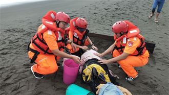 2瓜頭鯨擱淺林口海灘！民眾急叩救援