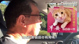 如何讓爸變貓奴？她：做長輩圖給他用