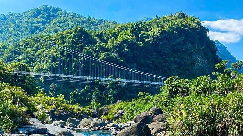 阿里山「絕美吊橋」標誌性美景復活！