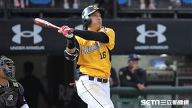 ▲中信兄弟外野手周思齊敲出本季第22轟。（圖／記者劉彥池攝影）