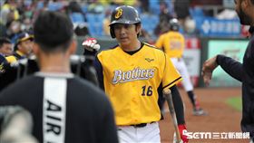 ▲中信兄弟外野手周思齊敲出本季第22轟。（圖／記者劉彥池攝影）