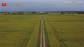 ▲黃綠色原野小路。（圖／說書人Vocal 授權）