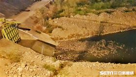 台中大里大片魚屍／許先生授權提供