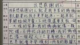 盧秀燕獎狀,日記　（圖／翻攝自小一聯盟臉書社團）