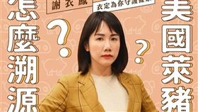 謝衣鳯昨（18）天在臉書發文表示，「雞排祭文，如果可以在109年10月15日完整質詢影片，找到衣鳳說『腎臟屬於生殖器官』的朋友，我請你一年份的雞排！快來找」。（圖／翻攝自謝衣鳳臉書）