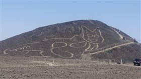 誰畫的？2000年前「神秘古貓」現蹤　沙漠巨大身影曝光（圖／美聯社／達志影像）