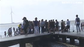 棧道泡海水.遊客大軍踩 高美溼地