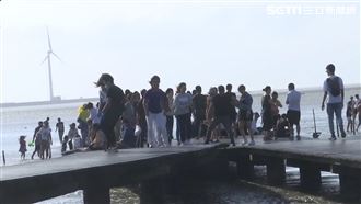 棧道泡水、遊客踩　高美濕地閉關維修