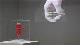 科技醫學進步　藝術家藉展覽探討人類身體變化藝術家宮保睿、顧廣毅共同策畫「啟發性的未來：推測、身體與醫學」特展，即日起至12月6日在國立台灣美術館展出，探索醫學科技影響下，人類身體與社會環境可能有的變化。（國美館提供）中央社記者鄭景雯傳真　109年10月19日
