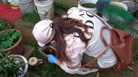 疾管署調查登革熱源。（圖／疾管署提供）