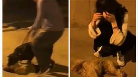 中國,江西,寵物,貴賓犬,羅威納犬,咬死（圖／翻攝自梨視頻）