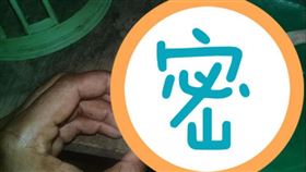 印尼漁民發現一隻長得像是異形的幼鯊。（圖／翻攝自Andy Goin臉書）