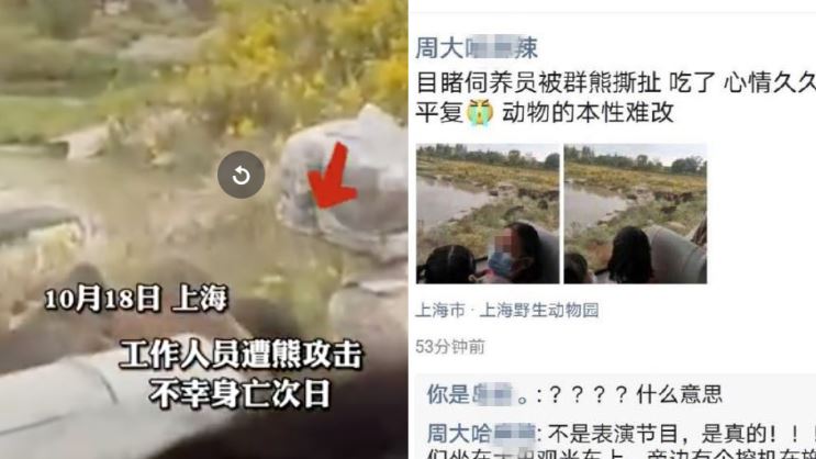 飼育員遭熊群包圍分食　驚悚畫面曝光
