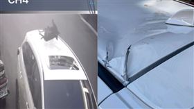 新竹,寵物,狗狗,飼主,監視器,臉書,小黑狗
https://www.facebook.com/100000363060092/videos/pcb.3599072366781497/3599039876784746/