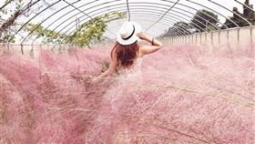 　名家專用／台灣旅行趣（勿用）
