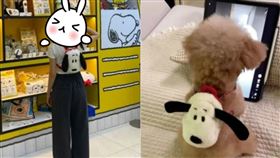 一週年買包包送女友！隔天分享「妳跟狗一樣」…女友爆氣分手。（圖／翻攝自Dcard）