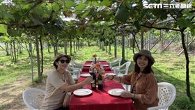 遊客可以體驗葡萄園下品酒。（圖／記者陳宜加攝影）