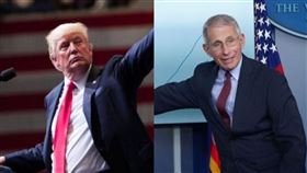 川普,佛奇（圖／翻攝自推特）