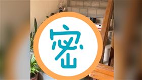 逃生梯變開心農場　全場怒：致命危險（圖／翻攝自爆怨2公社）