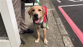 惠光導盲犬學校提供