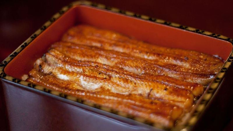 為什麼鰻魚飯這麼貴？鰻魚權威揭真相