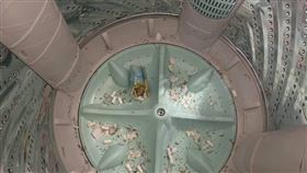 洗衣機,香菸,現金,尿布,爆廢公社,髒