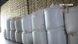 桃竹苗二期停灌不缺糧　公糧可撐1年