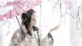 ▲美女（圖／翻攝自pixabay）