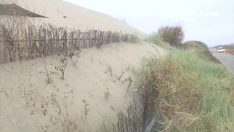 剷平堆沙籬多此一舉？林管處：誤會