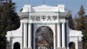 清華大學,習近平大學(圖/翻攝自Change.org)