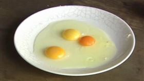 雞蛋如何判定新不新鮮,資料照